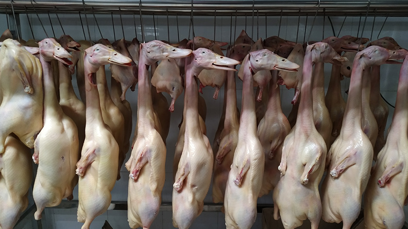 丽佳农牧成为众多酒店、宾馆的鸭肉加工稳定供货商
